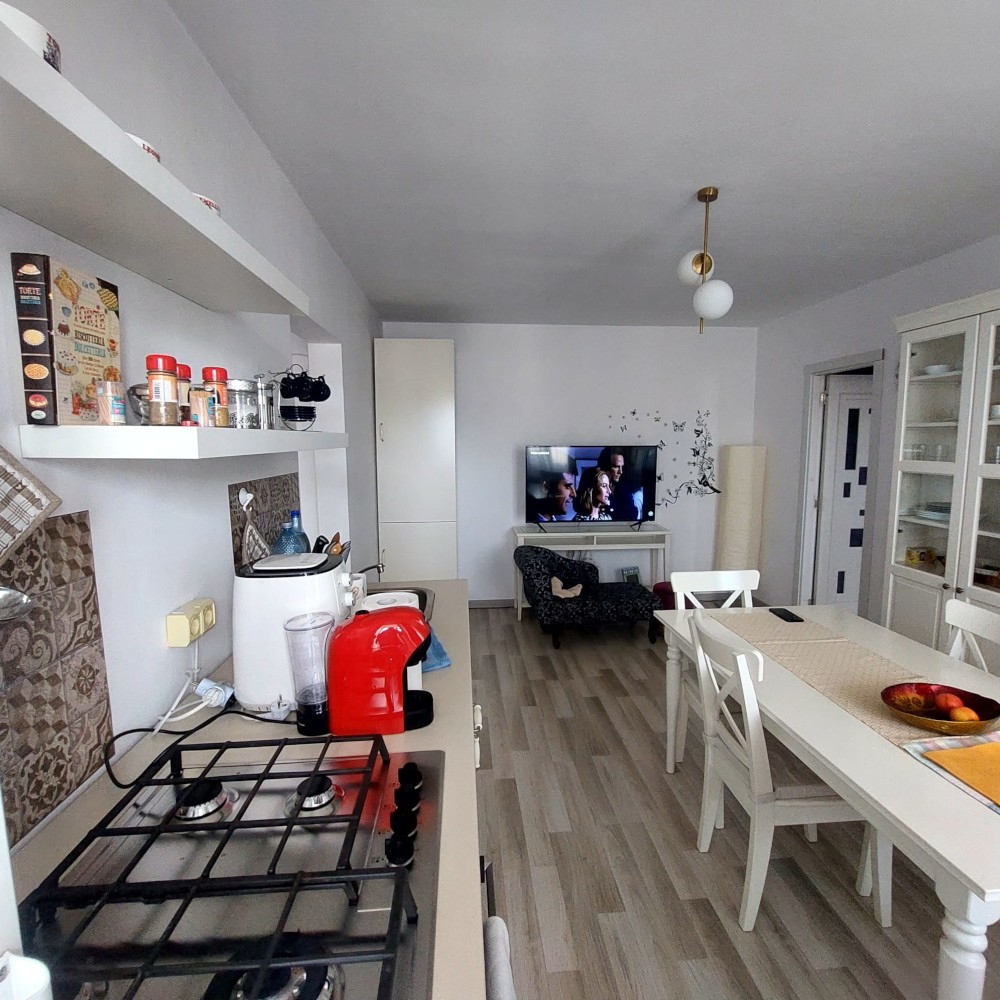 Apartament renovat si mobilat Tiglina